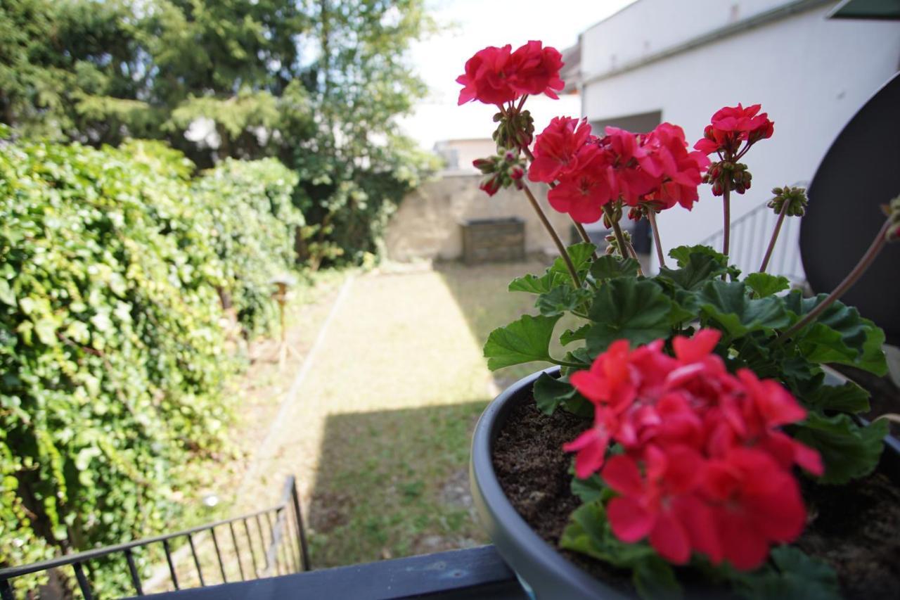 Ferienwohnung - Am Stadtgarten 萨尔路易斯 外观 照片
